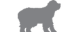 {"loading" => "lazy", "widths" => "50, 275, 550, 710, 1420"}